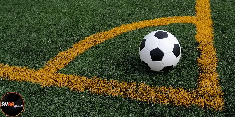 Bật mí tips soi kèo bất bại cho người chưa có kinh nghiệm