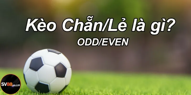 Cược chẵn lẻ SV88