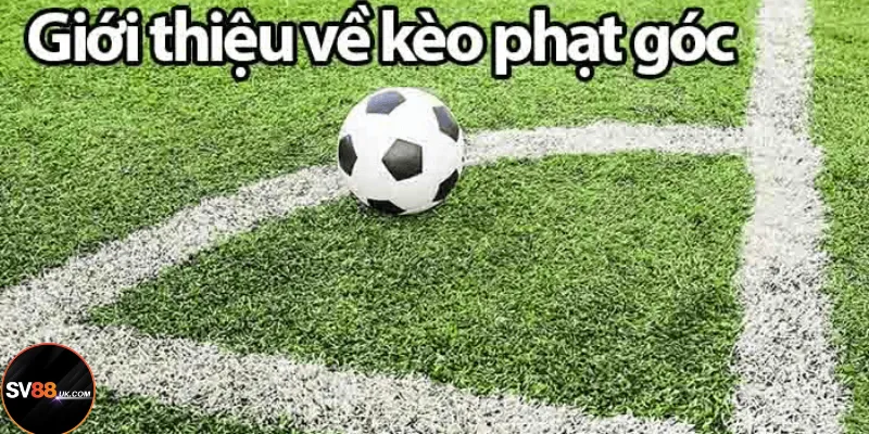 kèo phạt góc SV88